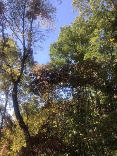 Bike and Hike Trailhead - Peninsula, OH