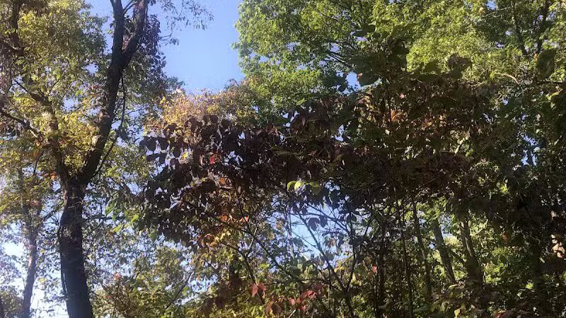 Bike and Hike Trailhead - Peninsula, OH