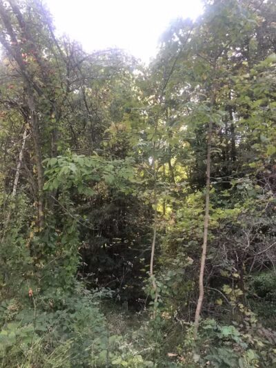 Bike and Hike Trailhead - Peninsula, OH