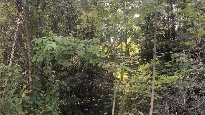 Bike and Hike Trailhead - Peninsula, OH