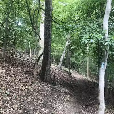 Boston Store Trailhead - Peninsula, OH