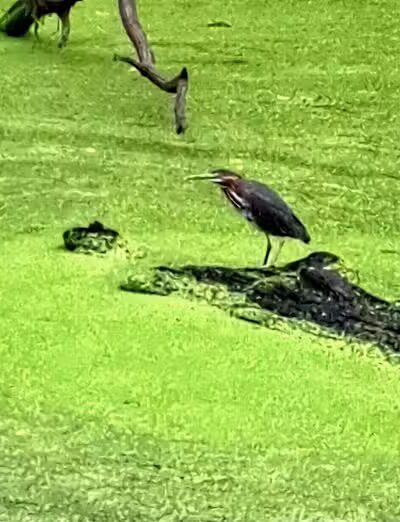 Boston Store Trailhead - Peninsula, OH