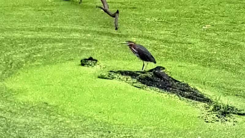 Boston Store Trailhead - Peninsula, OH