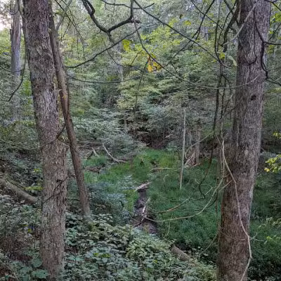Deep Lock Quarry Metro Park - Peninsula, OH