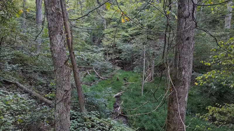 Deep Lock Quarry Metro Park - Peninsula, OH
