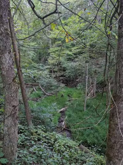 Deep Lock Quarry Metro Park - Peninsula, OH