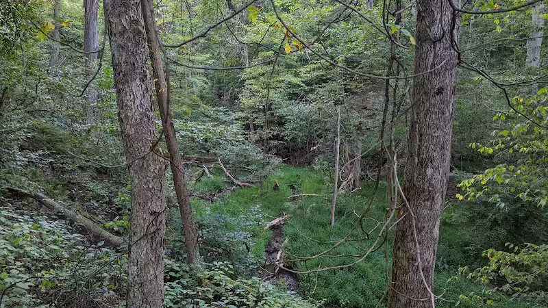 Deep Lock Quarry Metro Park - Peninsula, OH