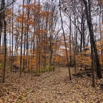 Deep Lock Quarry Metro Park - Peninsula, OH