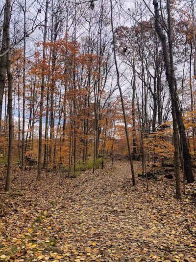 Deep Lock Quarry Metro Park - Peninsula, OH