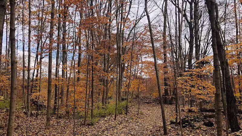 Deep Lock Quarry Metro Park - Peninsula, OH