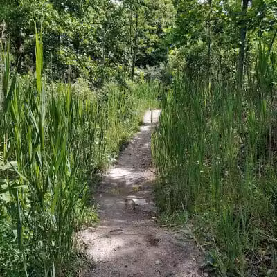 East Rim Trail - Peninsula, OH