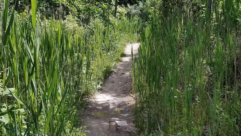 East Rim Trail - Peninsula, OH