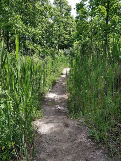 East Rim Trail - Peninsula, OH