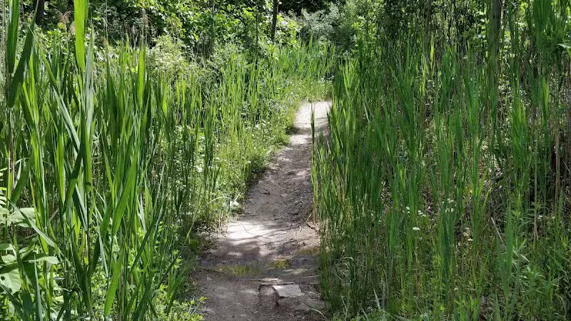 East Rim Trail - Peninsula, OH