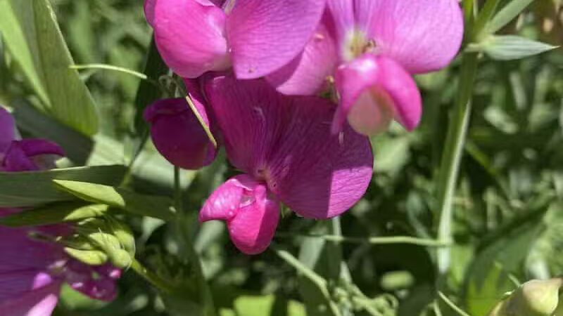 East Rim Trail - Peninsula, OH