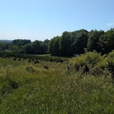 Horseshoe Pond - Peninsula, OH