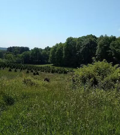 Horseshoe Pond - Peninsula, OH