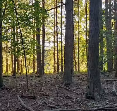 Horseshoe Pond - Peninsula, OH