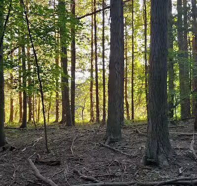 Horseshoe Pond - Peninsula, OH