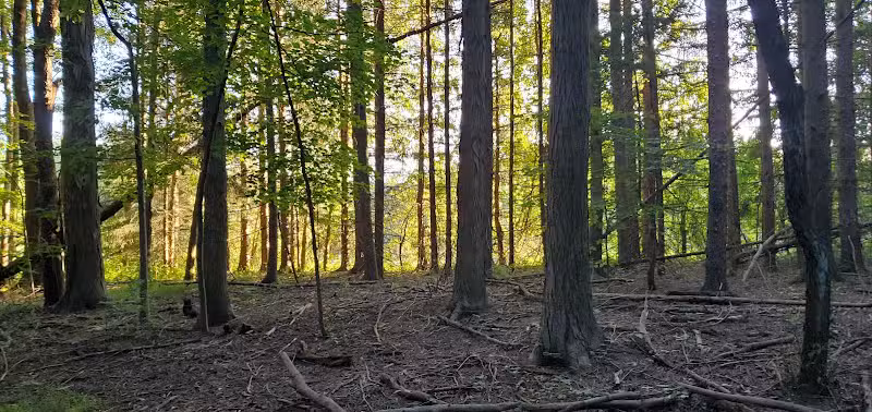Horseshoe Pond - Peninsula, OH