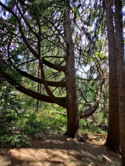 Horseshoe Pond - Peninsula, OH
