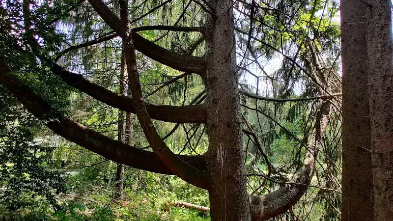 Horseshoe Pond - Peninsula, OH