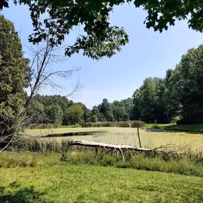 Horseshoe Pond - Peninsula, OH