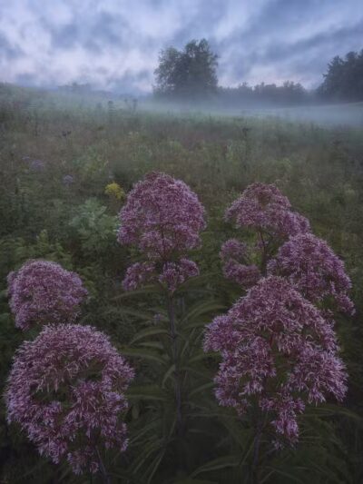 Kendall Hills - Peninsula, OH