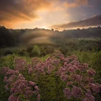 Kendall Hills - Peninsula, OH