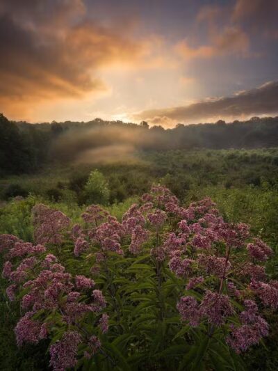Kendall Hills - Peninsula, OH