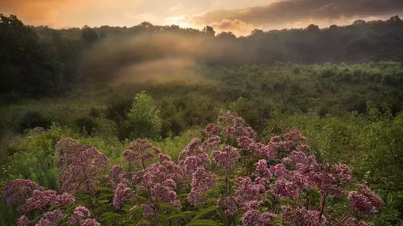 Kendall Hills - Peninsula, OH