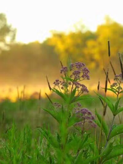 Kendall Hills - Peninsula, OH