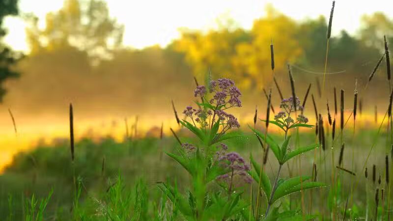 Kendall Hills - Peninsula, OH
