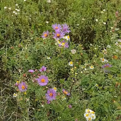 Kendall Hills - Peninsula, OH