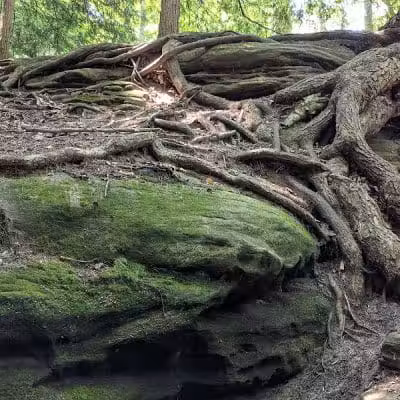 Ledges Trailhead - Peninsula, OH