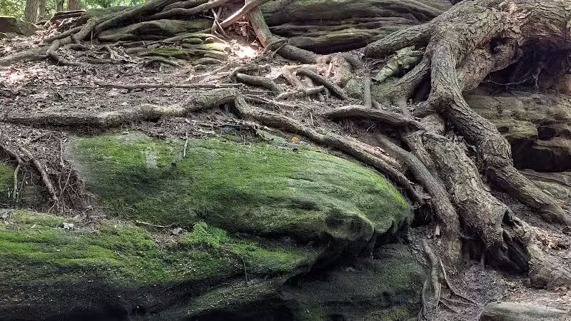 Ledges Trailhead - Peninsula, OH