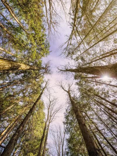 Oak Hill Trailhead - Peninsula, OH