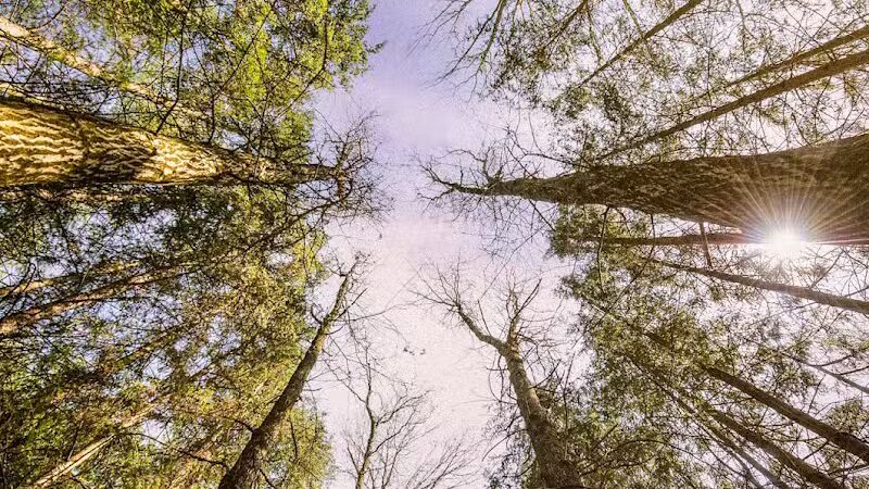 Oak Hill Trailhead - Peninsula, OH