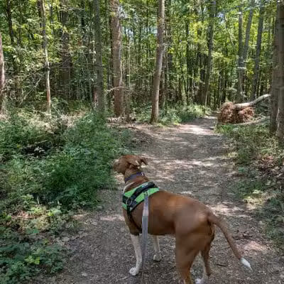 Oak Hill Trailhead - Peninsula, OH
