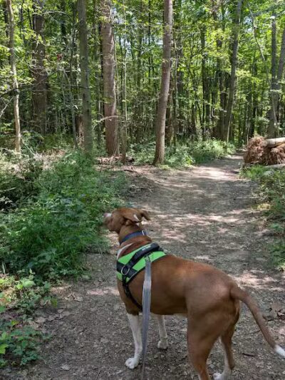 Oak Hill Trailhead - Peninsula, OH