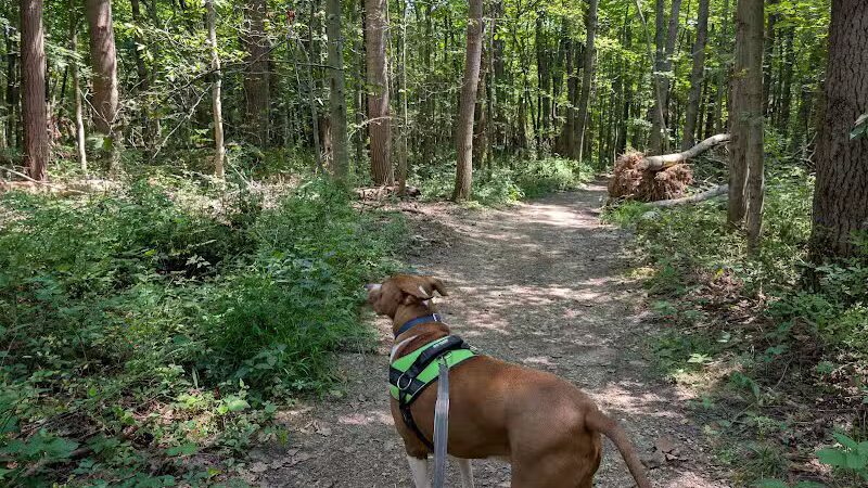 Oak Hill Trailhead - Peninsula, OH
