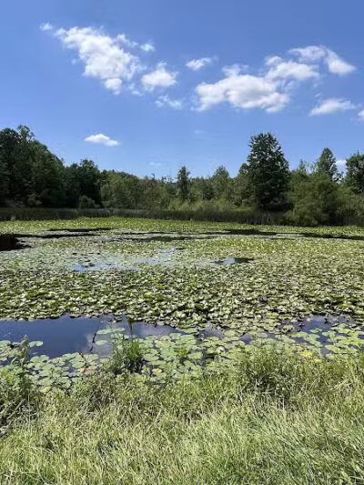 Oak Hill Trailhead - Peninsula, OH