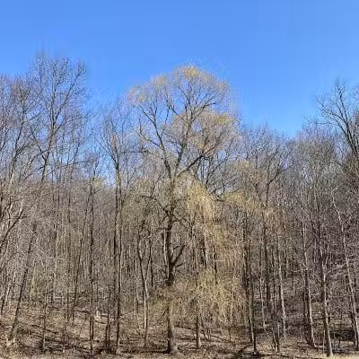 Oak Hill Trailhead - Peninsula, OH