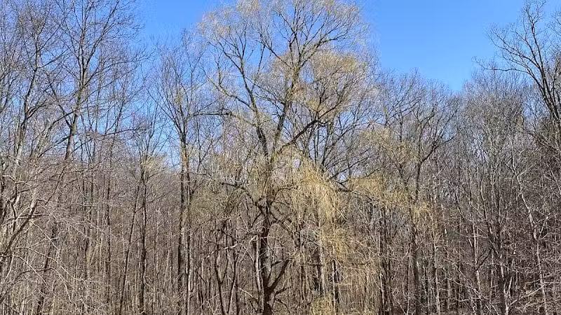 Oak Hill Trailhead - Peninsula, OH