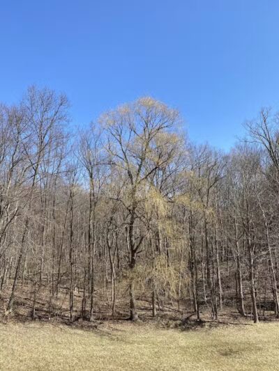 Oak Hill Trailhead - Peninsula, OH