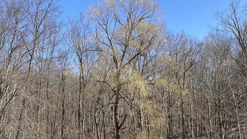Oak Hill Trailhead - Peninsula, OH