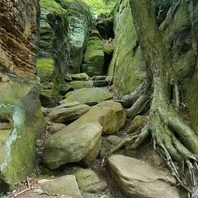 Octagon Shelter - Peninsula, OH