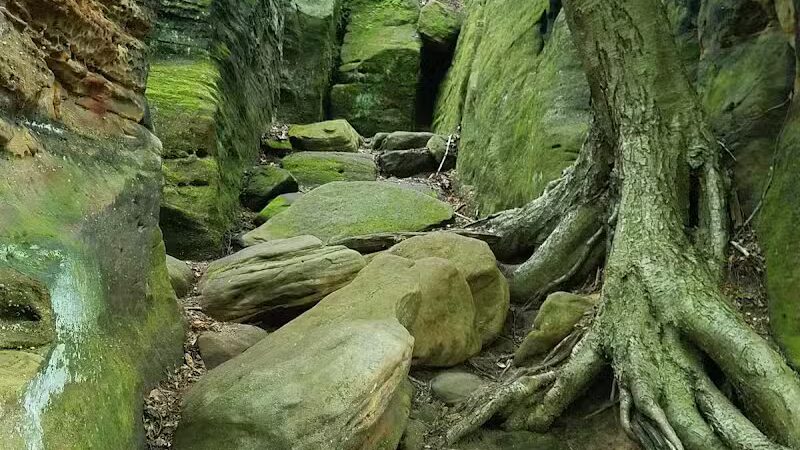 Octagon Shelter - Peninsula, OH