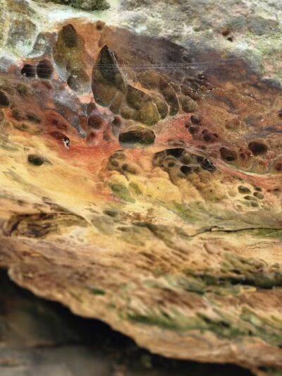 Octagon Shelter - Peninsula, OH