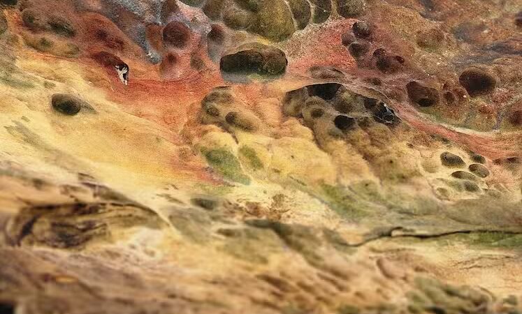 Octagon Shelter - Peninsula, OH